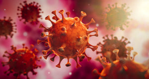 Epidemia Coronavirus: COVID-19 – cosa dovresti sapere