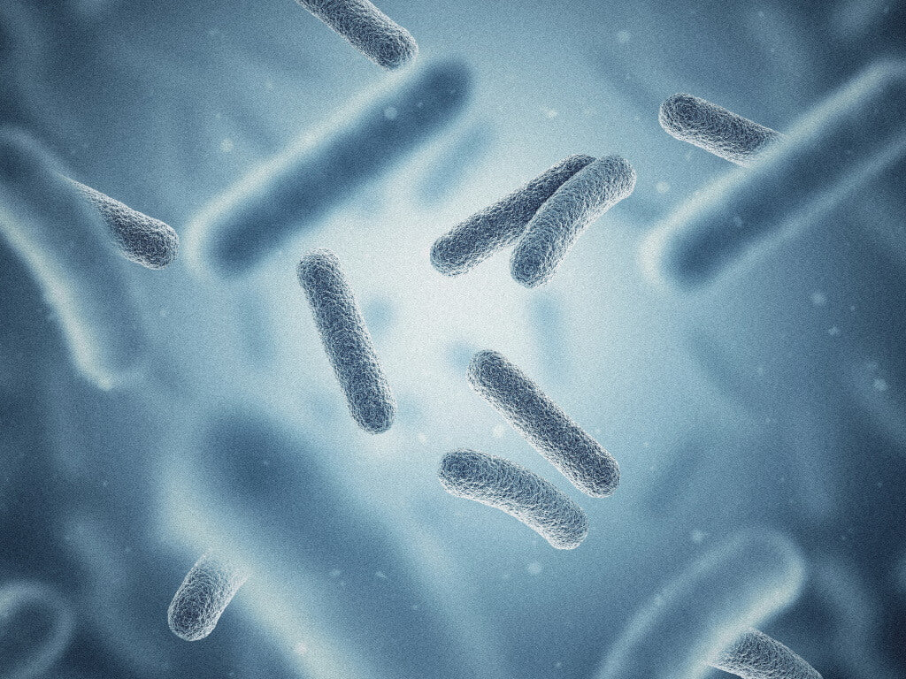Disbiosi intestinale