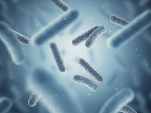 Disbiosi intestinale: cosa fare per la flora intestinale disturbata?