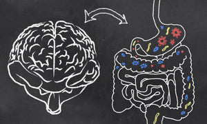 Cervello addominale: come i batteri intestinali influenzano i nostri sentimenti