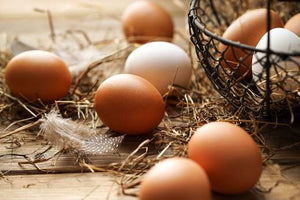 Allergia all'uovo: frequenza, sintomi e terapia